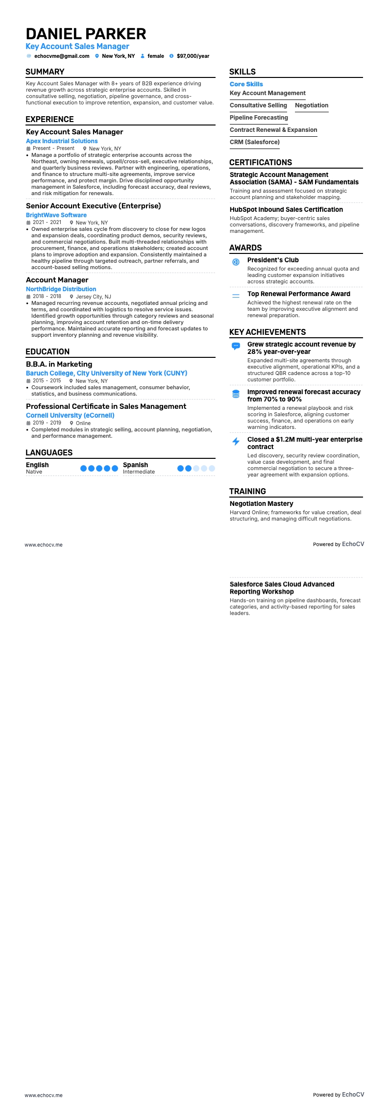 Gerente de Ventas de Cuentas Clave example resume