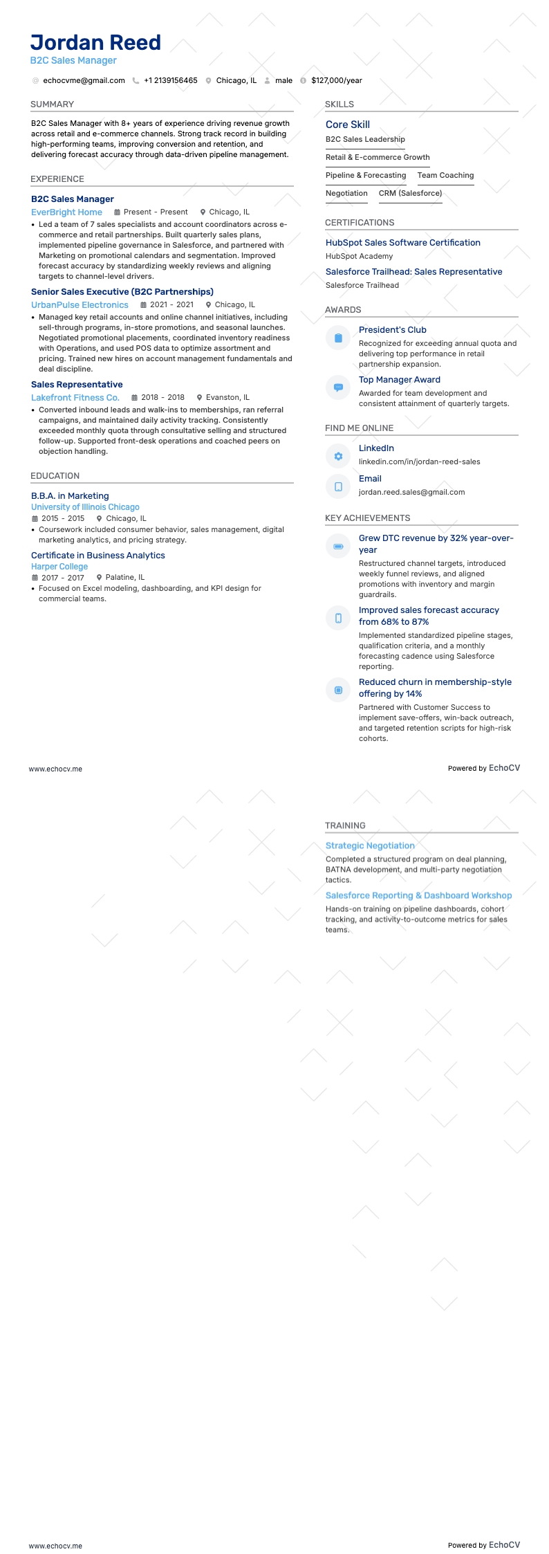 Gerente de Ventas B2C example resume