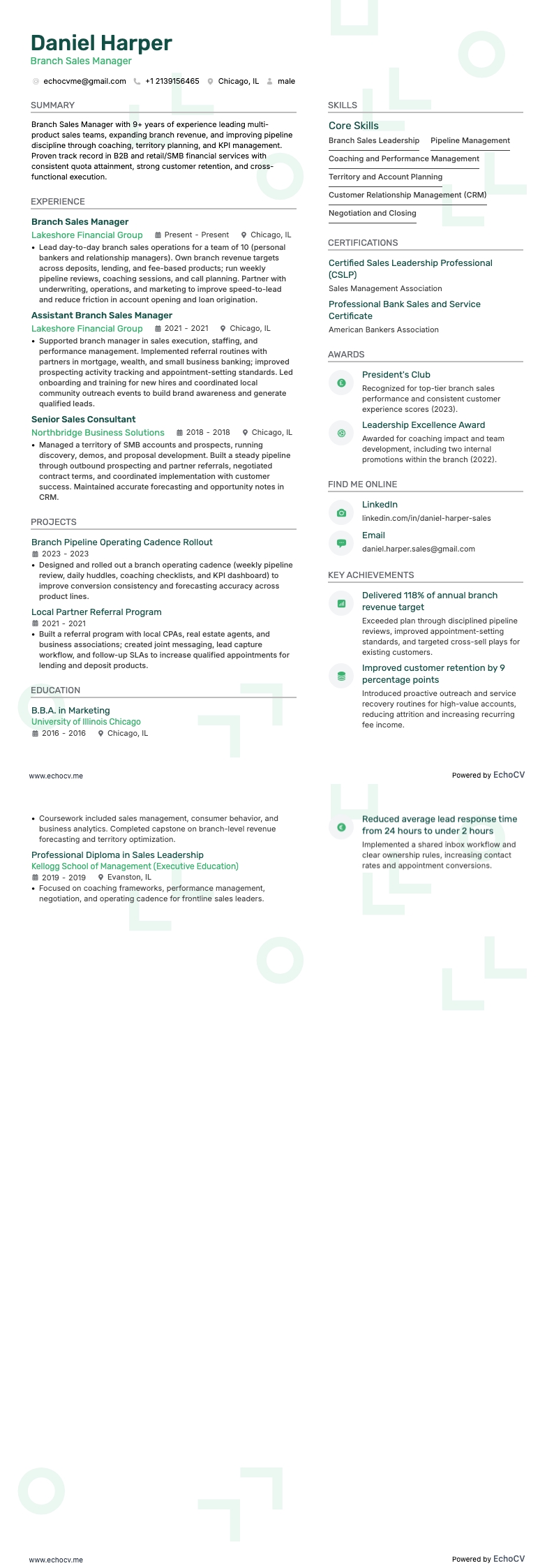 Gerente de Ventas de Sucursal