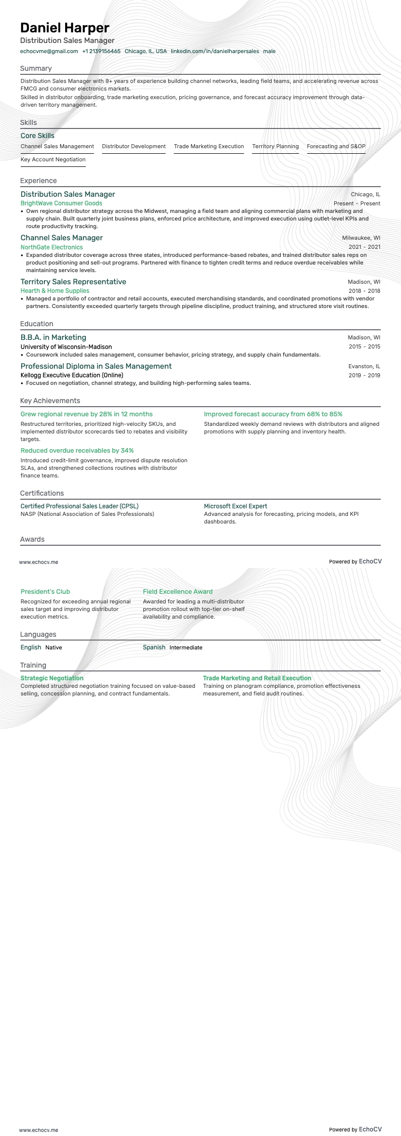 Gerente de Ventas de Distribución example resume