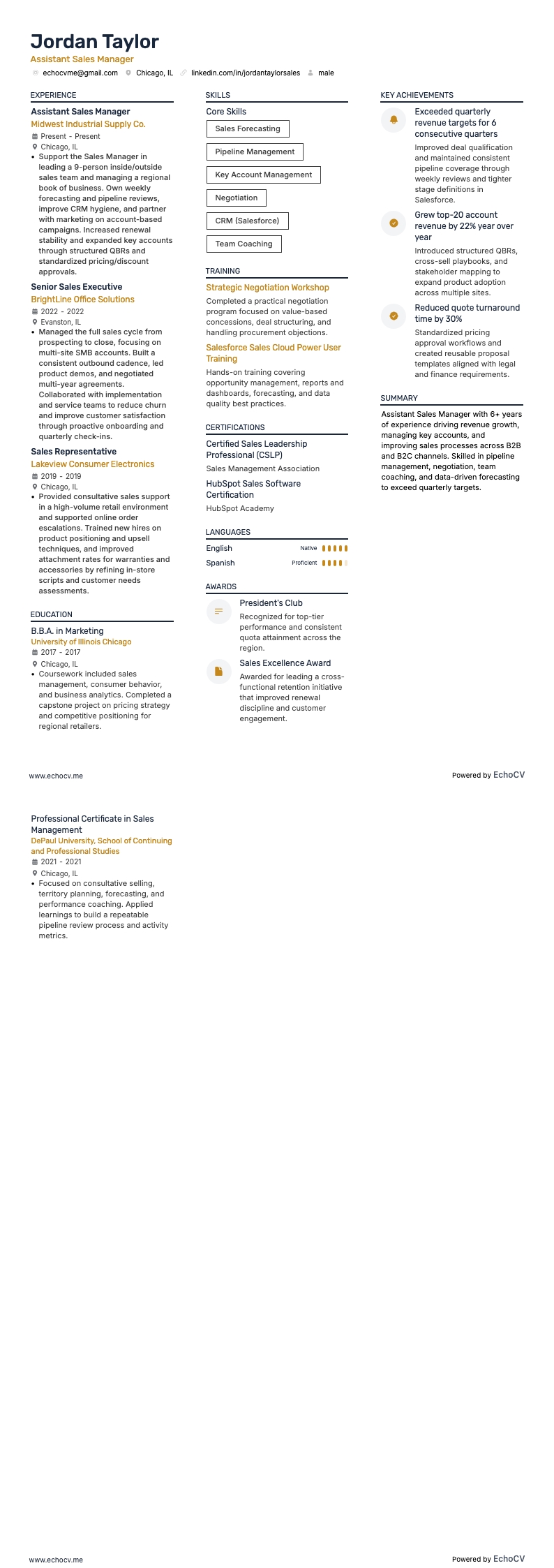 Stellvertretender Vertriebsleiter