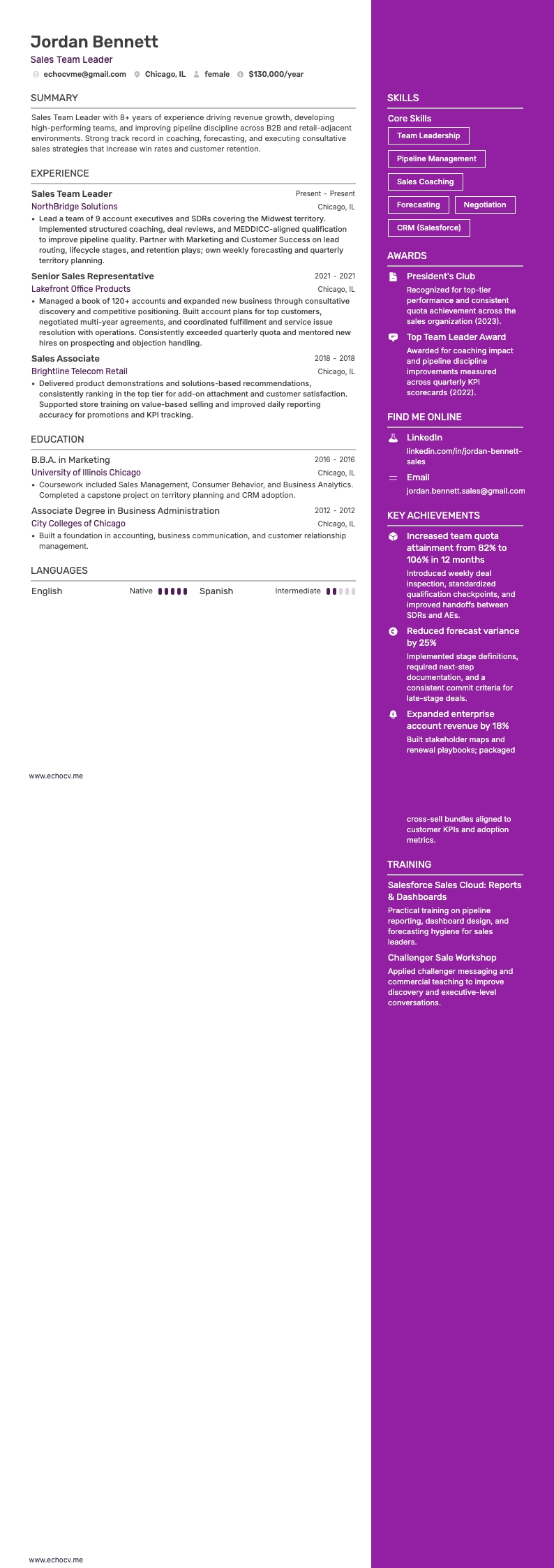 Líder del equipo de ventas example resume