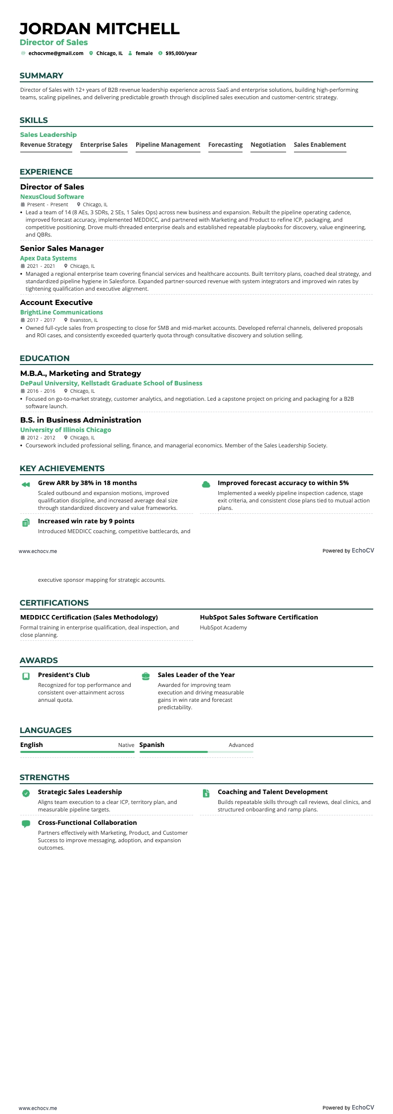 Director de Ventas example resume