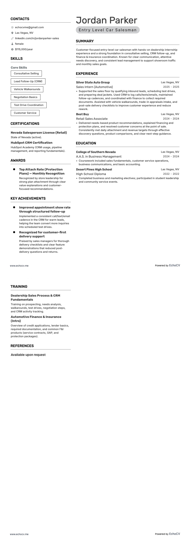 Entry Level Car Salesman example resume