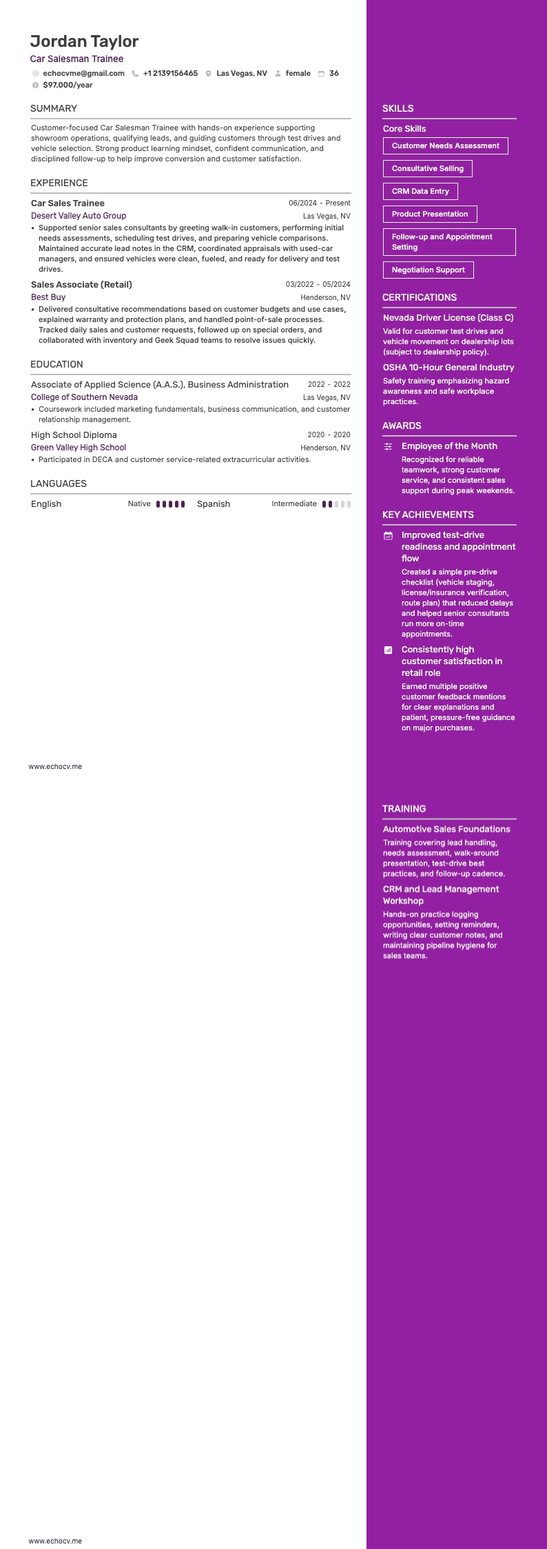 Car Salesman Trainee example resume