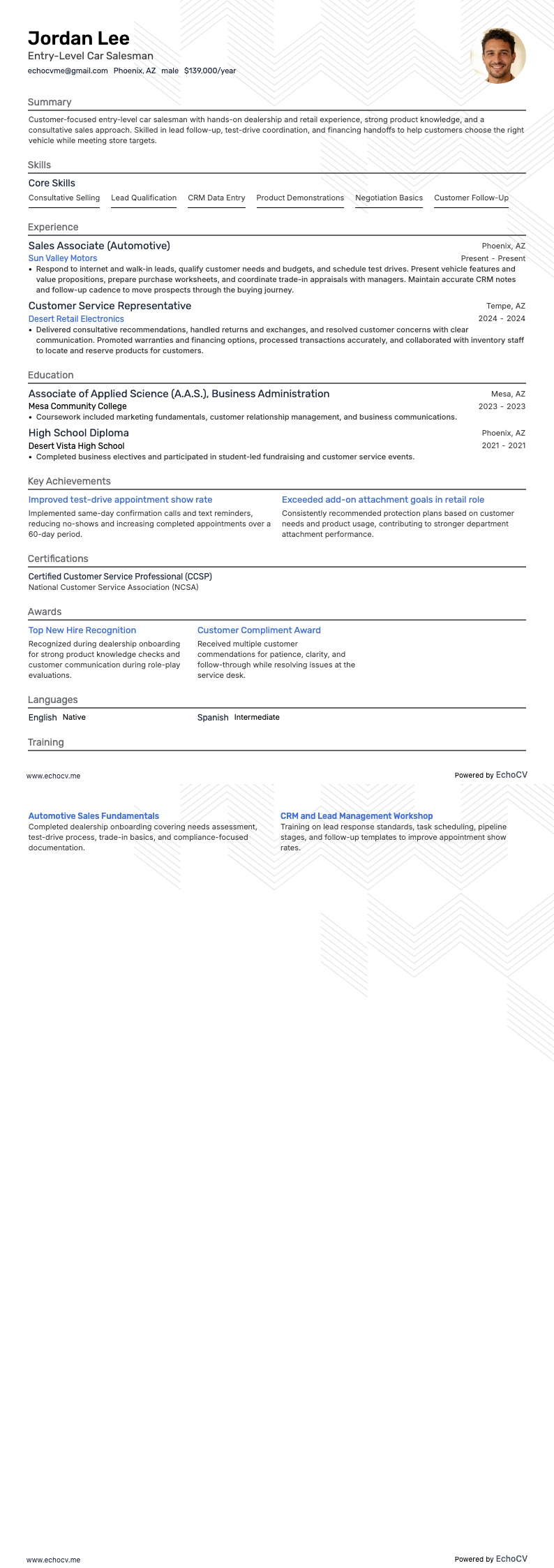 Entry-Level Car Salesman example resume