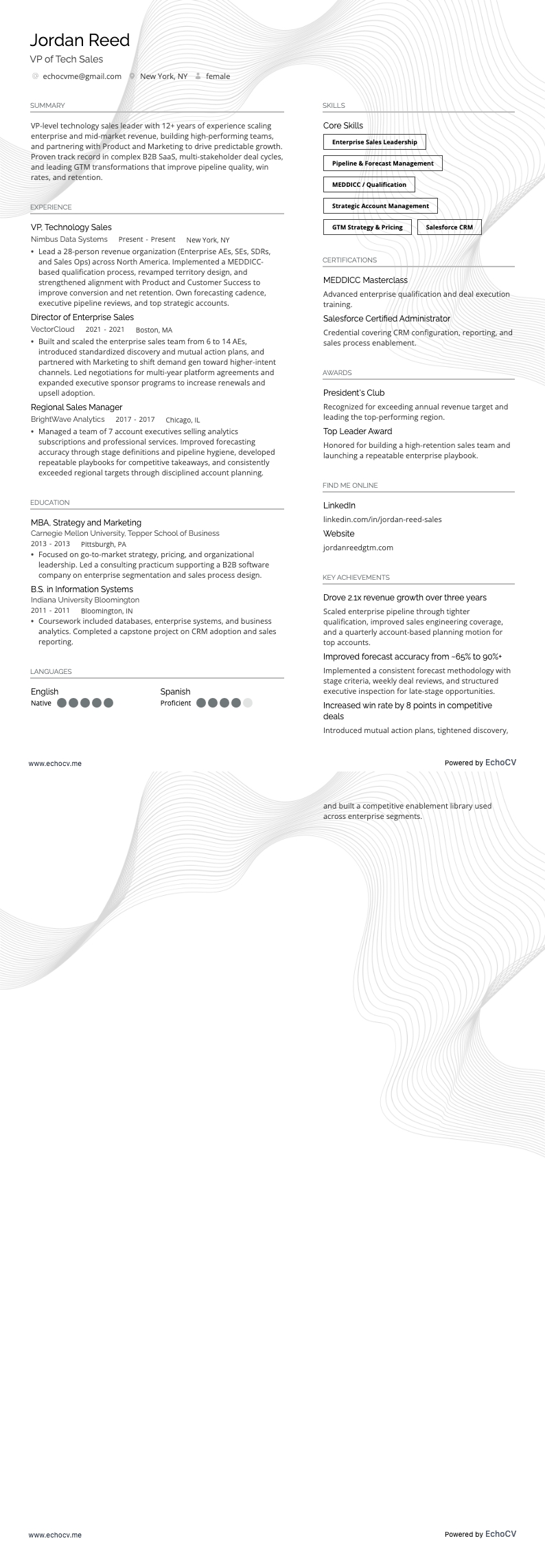 VP de Vendas de Tecnologia example resume