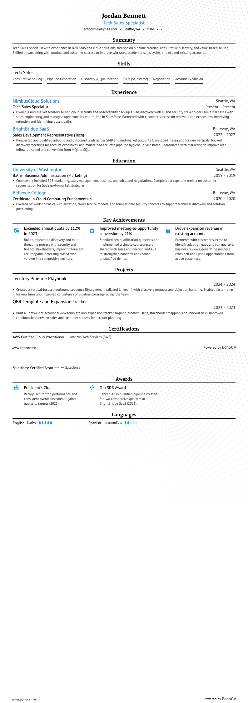 Vendas de tecnologia resume example