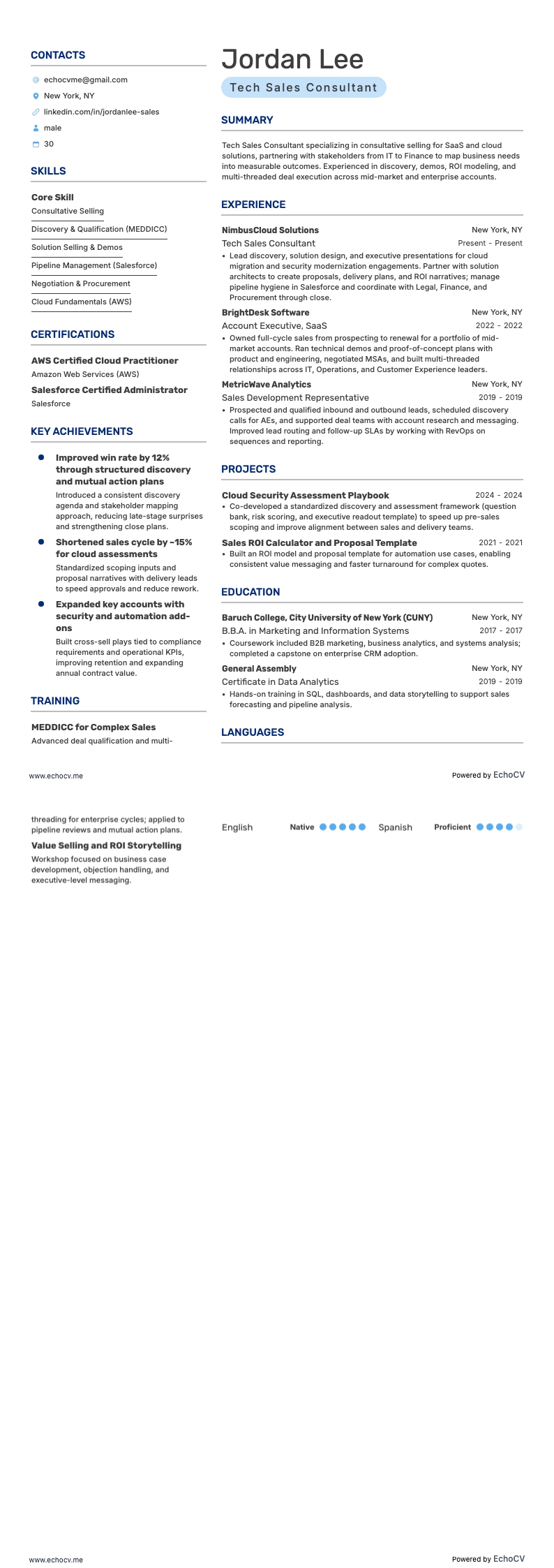 Consultor de vendas de tecnologia example resume