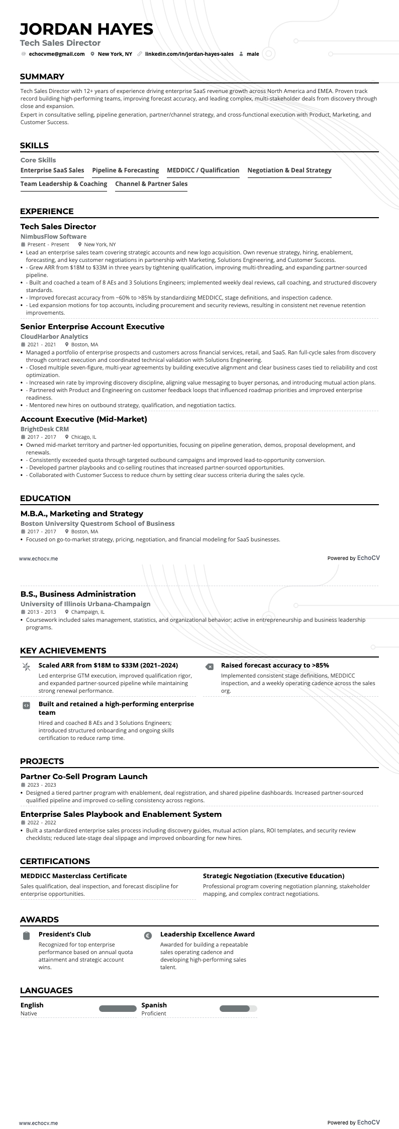 Diretor de Vendas de Tecnologia example resume