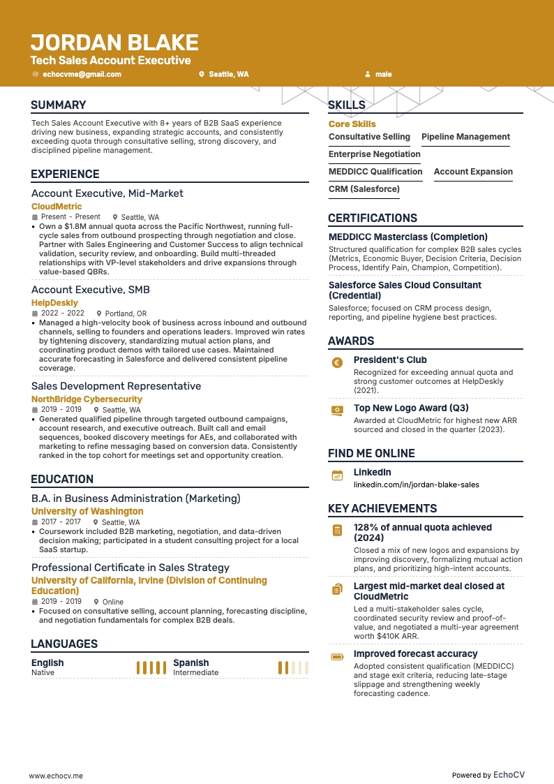 Executivo de contas de vendas tech example resume