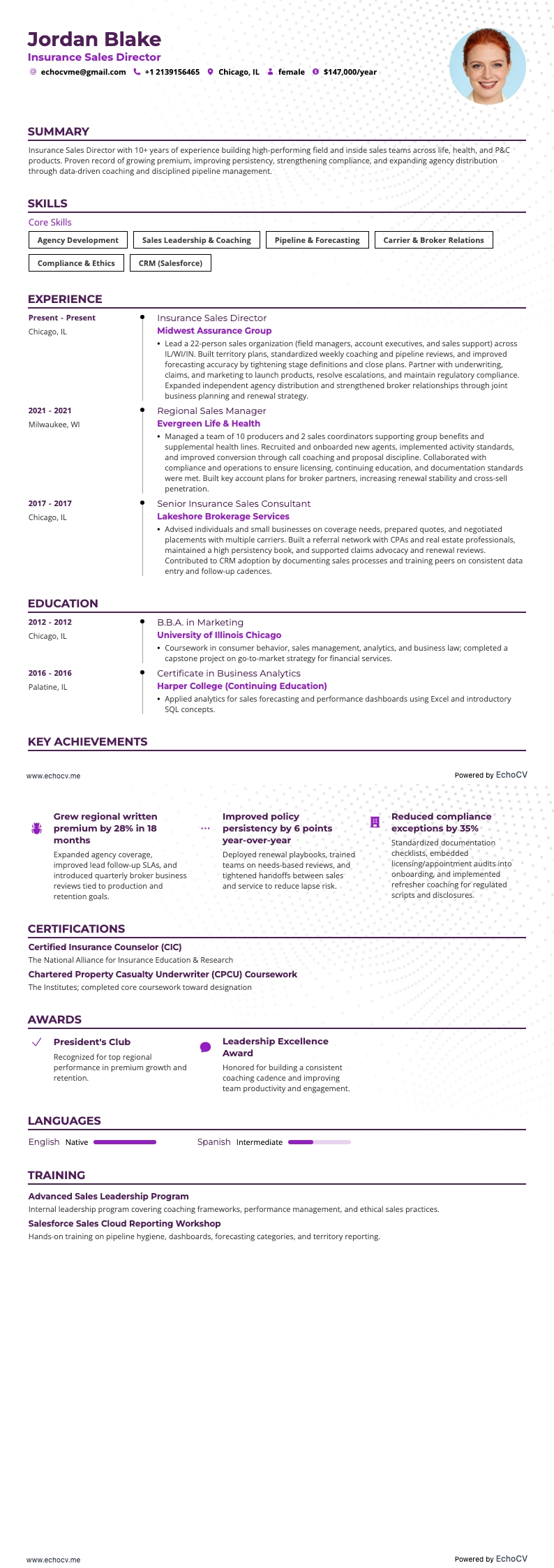 Giám đốc Kinh doanh Bảo hiểm example resume