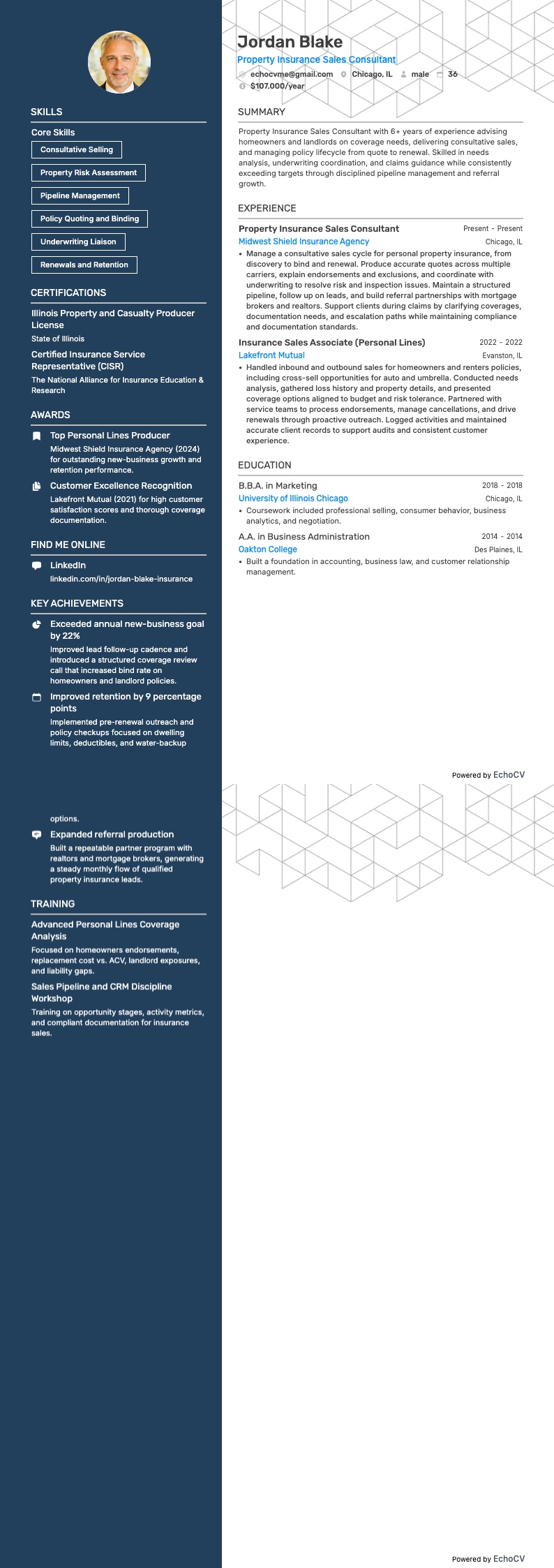 Chuyên viên tư vấn bán bảo hiểm tài sản example resume