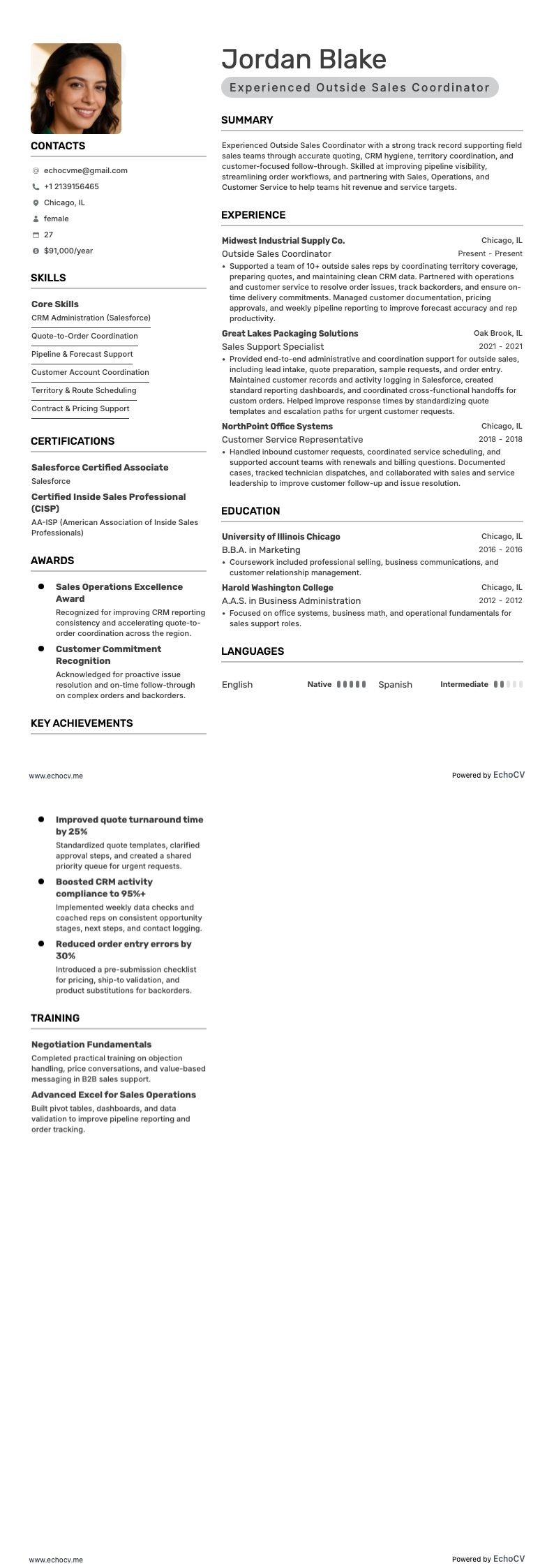 Ervaren coördinator buitendienstverkoop example resume