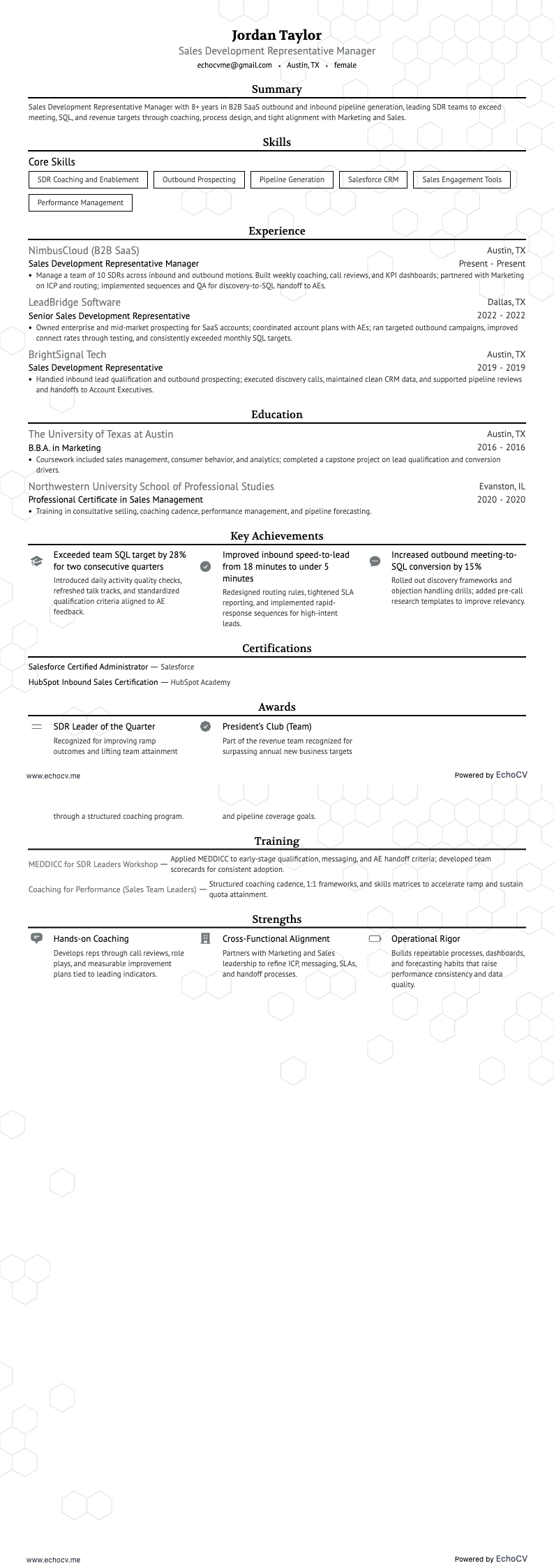Sales Development Representative Manager example resume