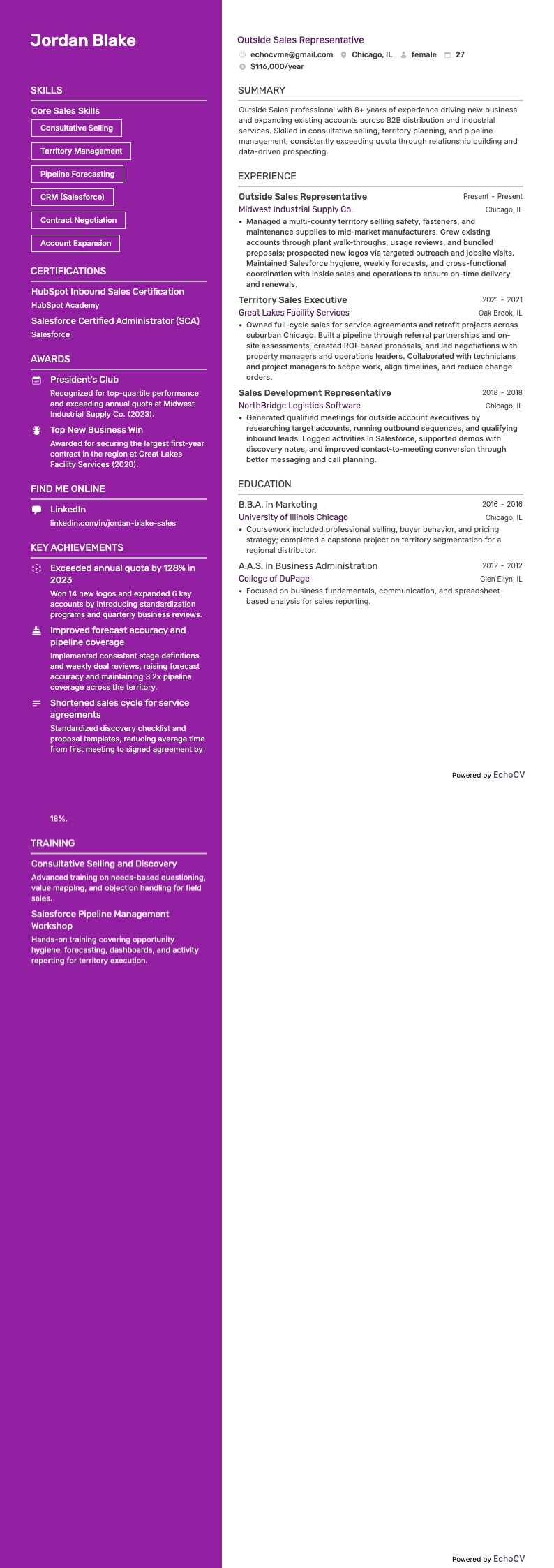 Outside Sales example resume