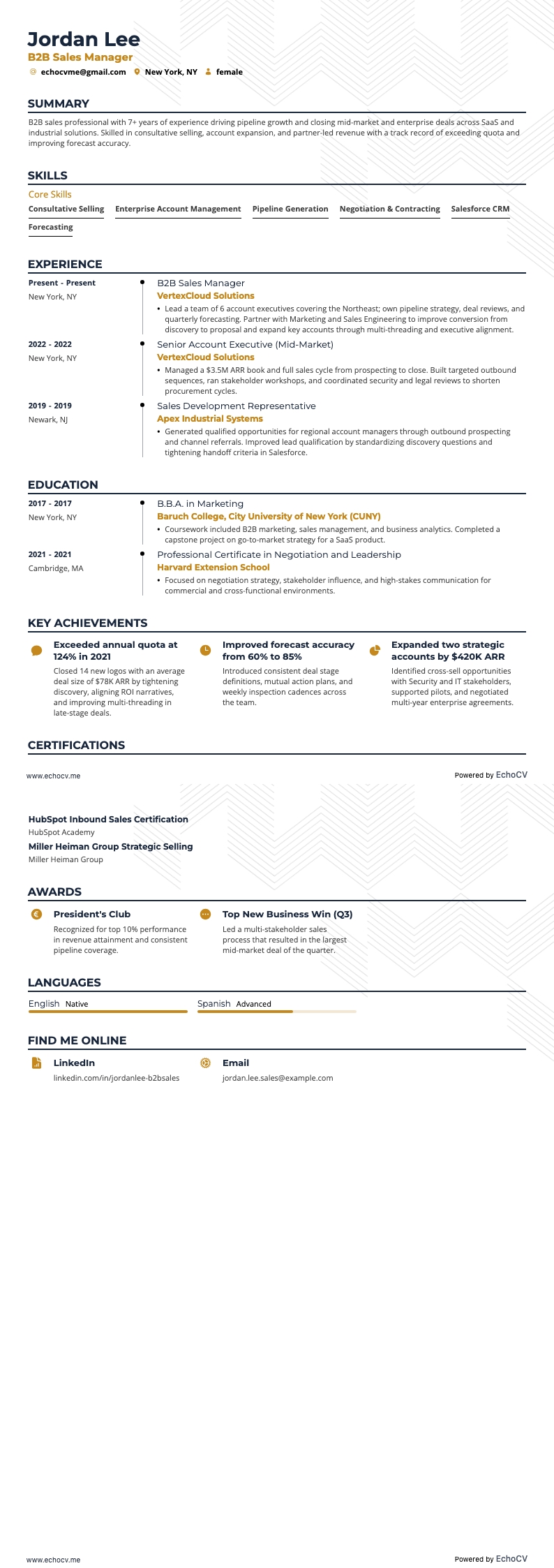 B2B Sales example resume
