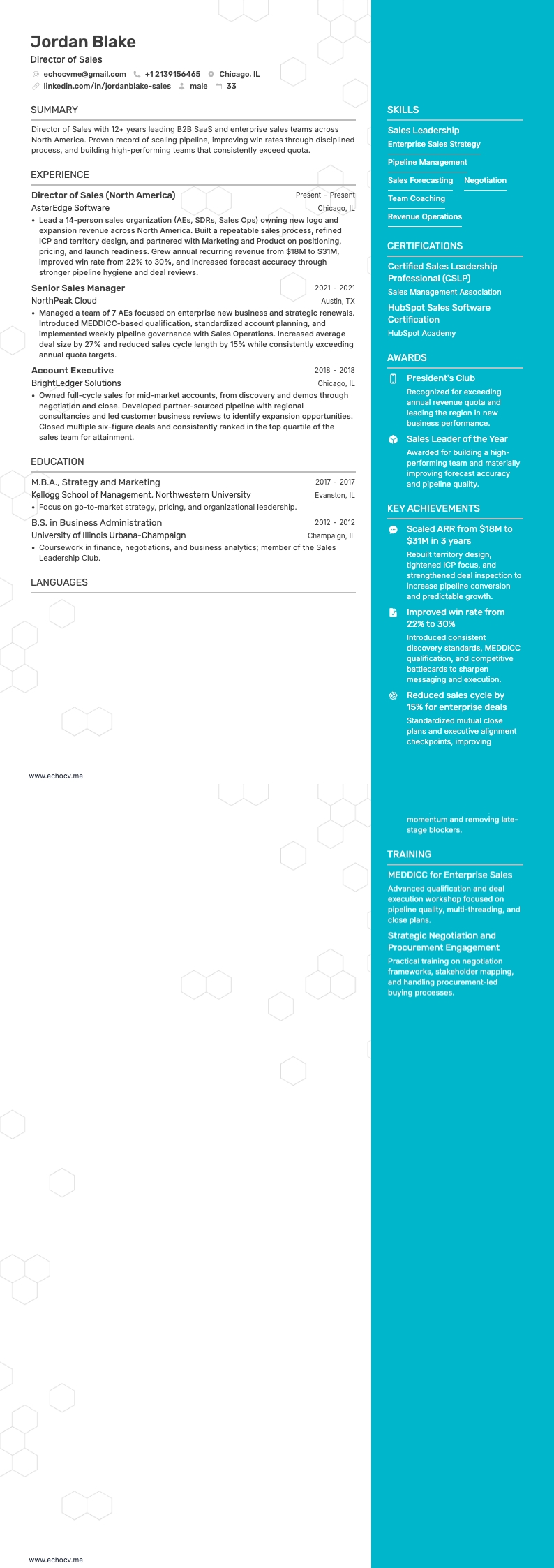 Director of Sales example resume