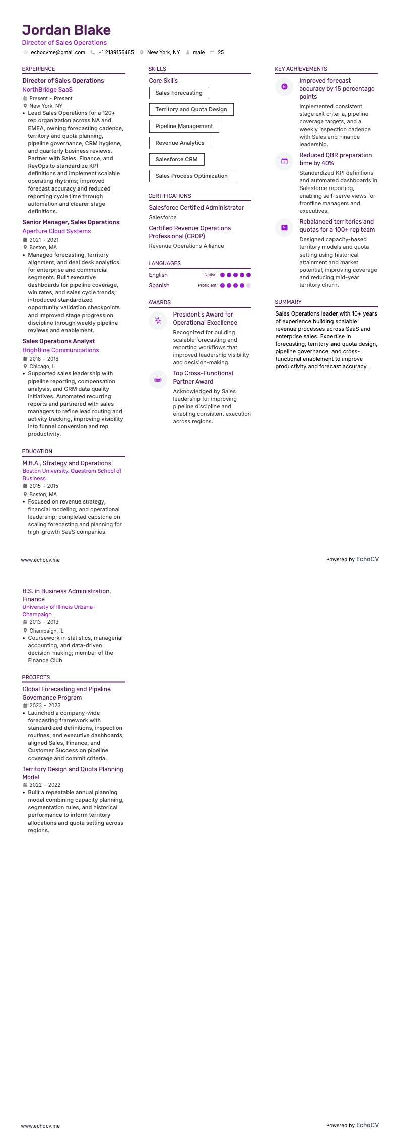 Director of Sales Operations example resume