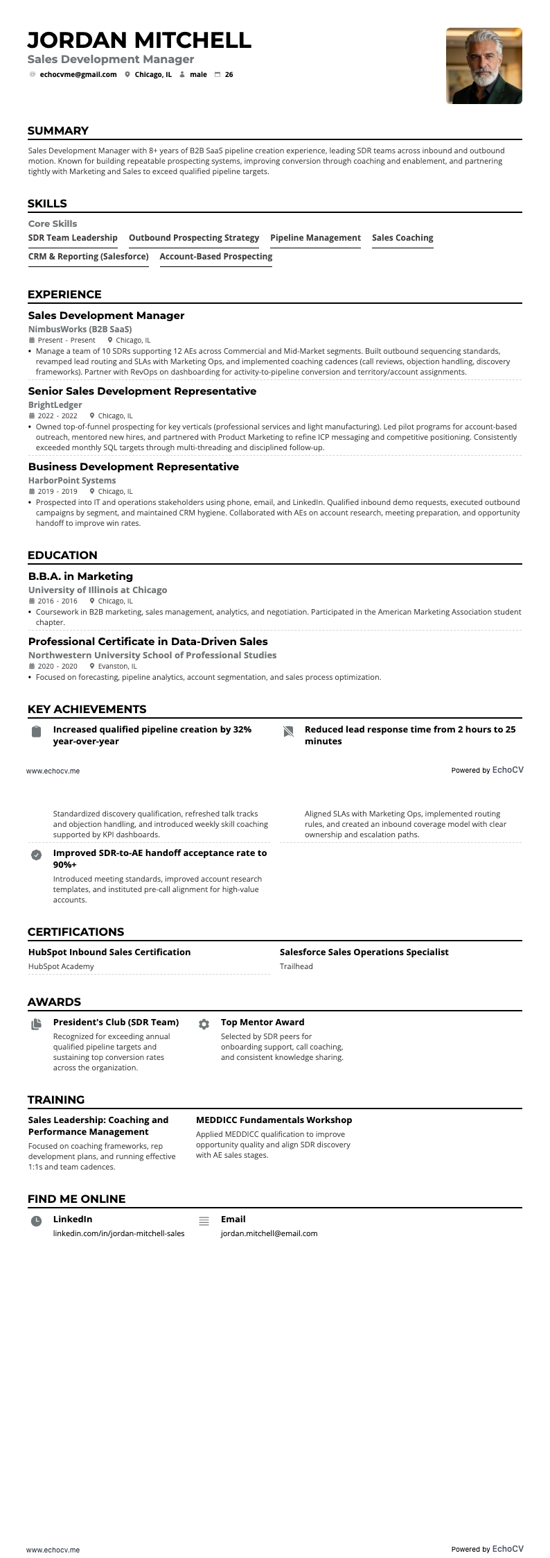 Sales Development Manager example resume