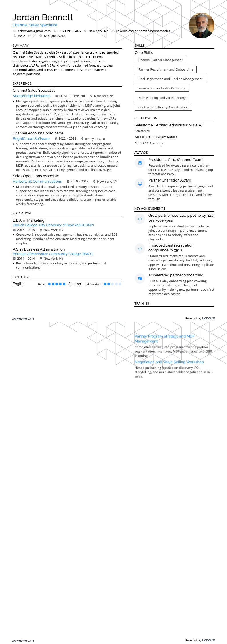 Channel Sales Specialist example resume