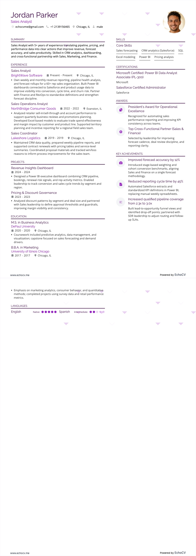 Sales Analyst example resume