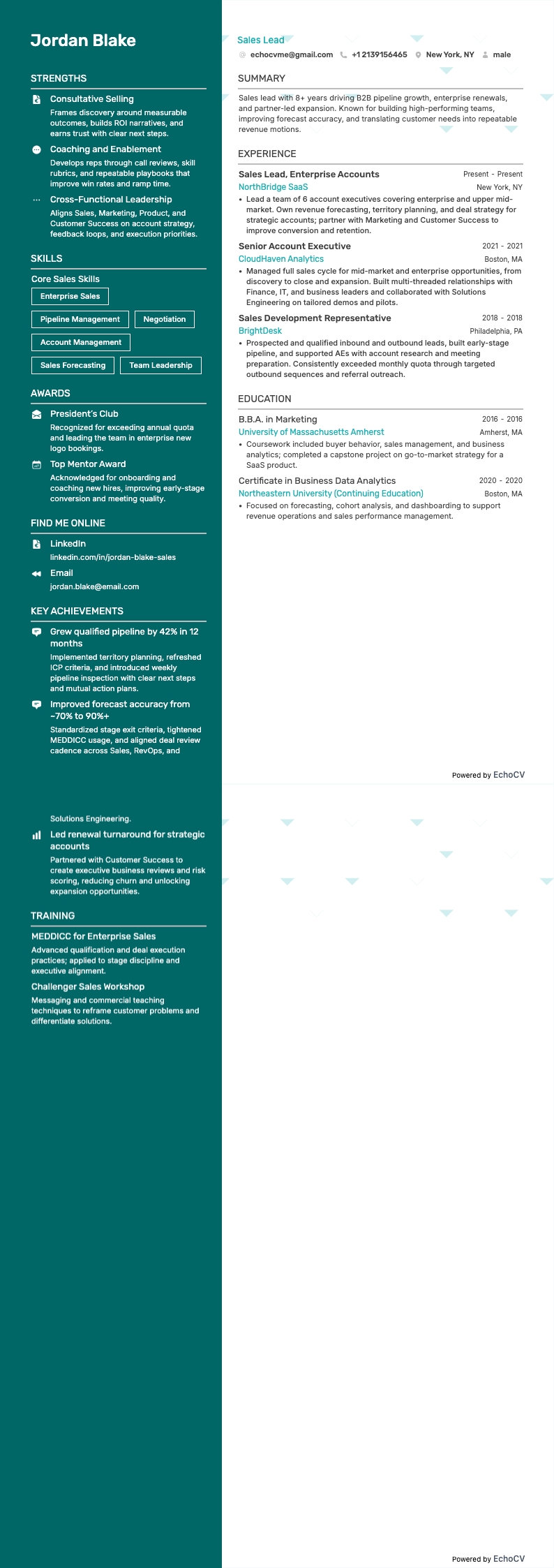 Sales Lead example resume