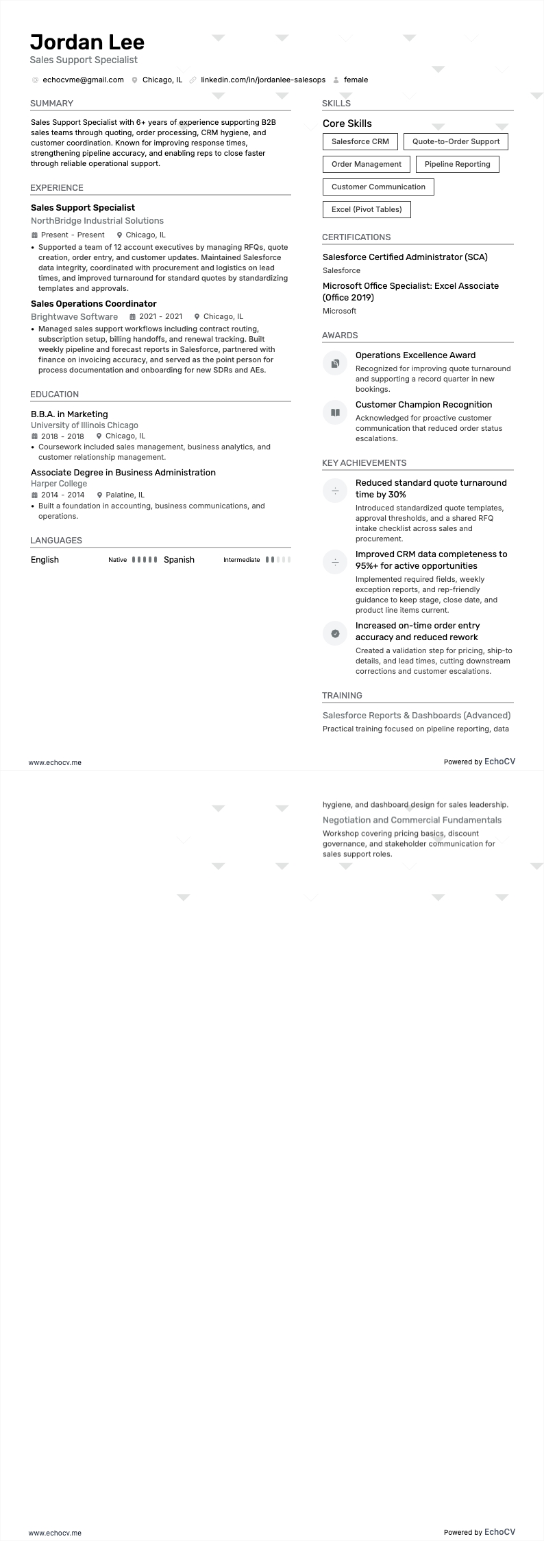 Sales Support Specialist example resume