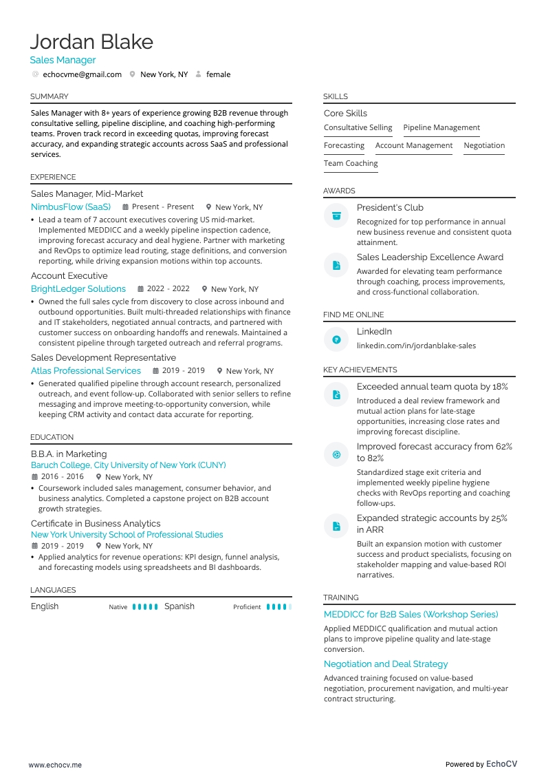 Sales Manager example resume