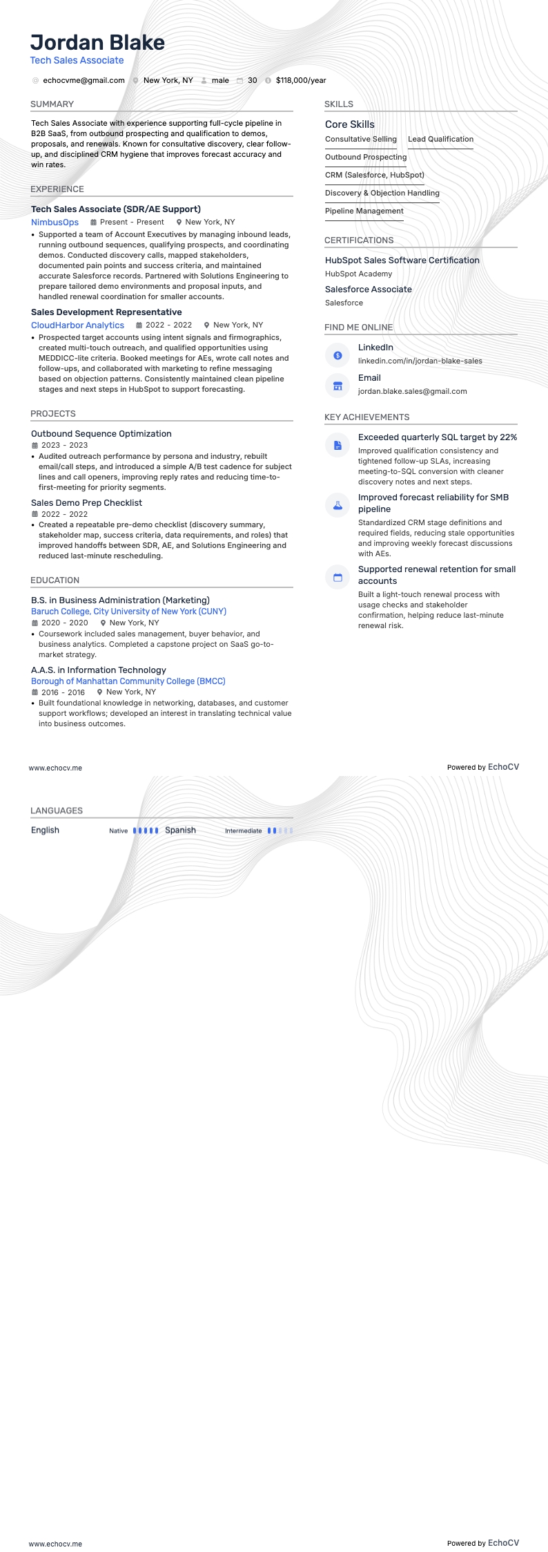 Tech Sales Associate example resume