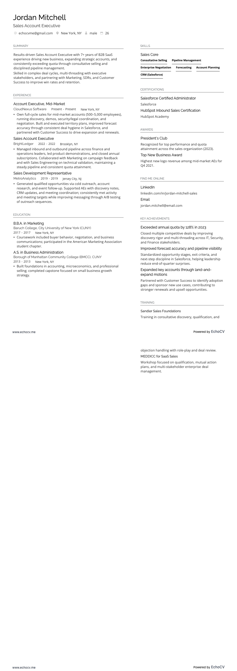 Sales Account Executive example resume