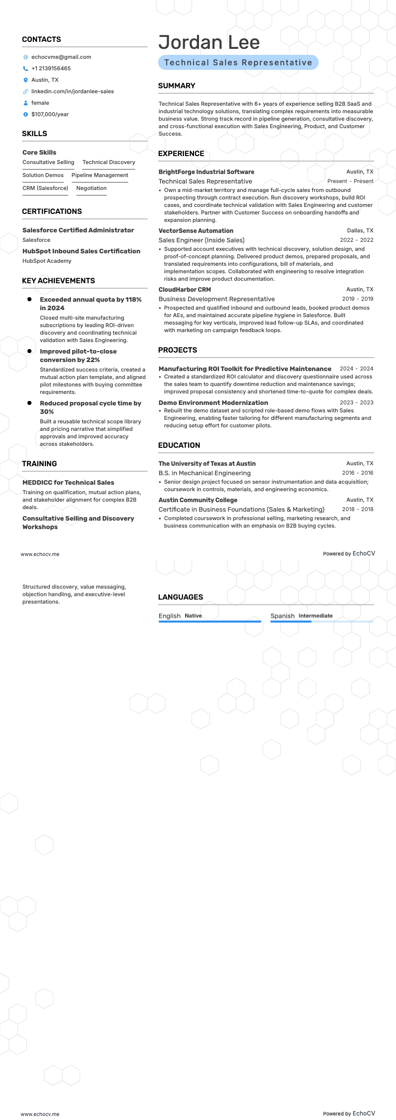 Technical Sales Representative example resume