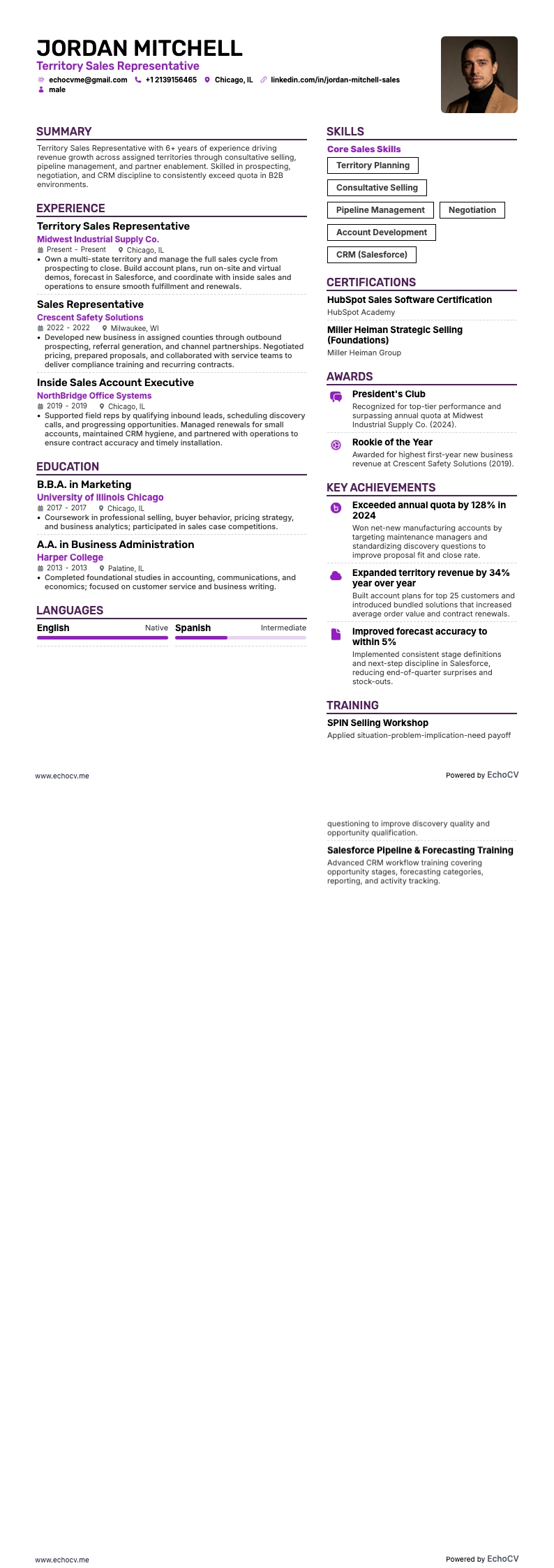 Territory Sales Representative example resume