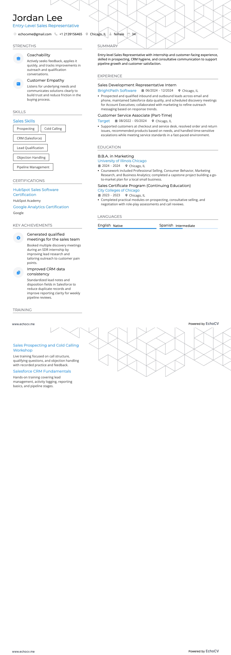 Entry-Level Sales Representative example resume