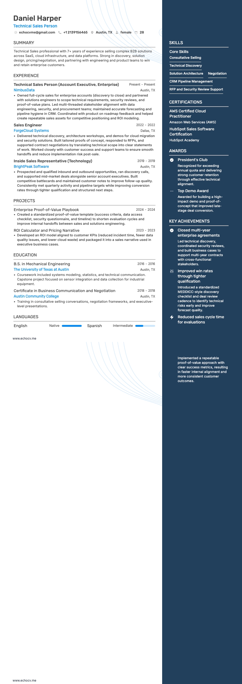 Technical Sales Person example resume
