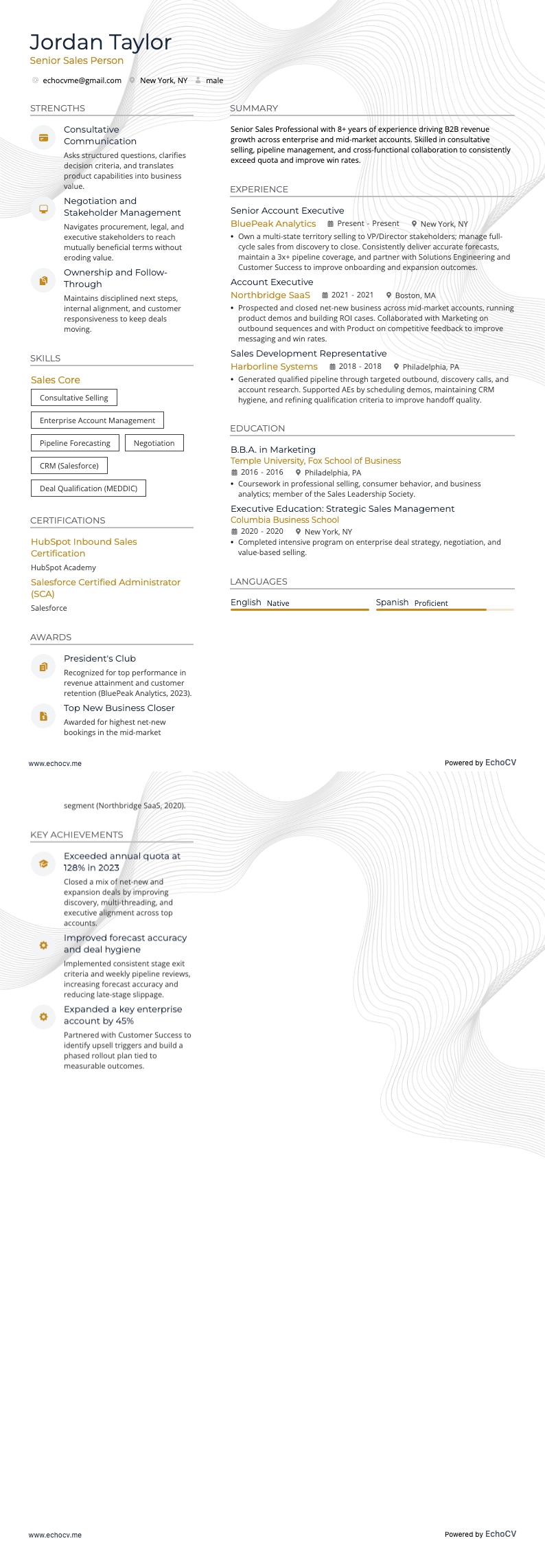 Senior Sales Person full preview