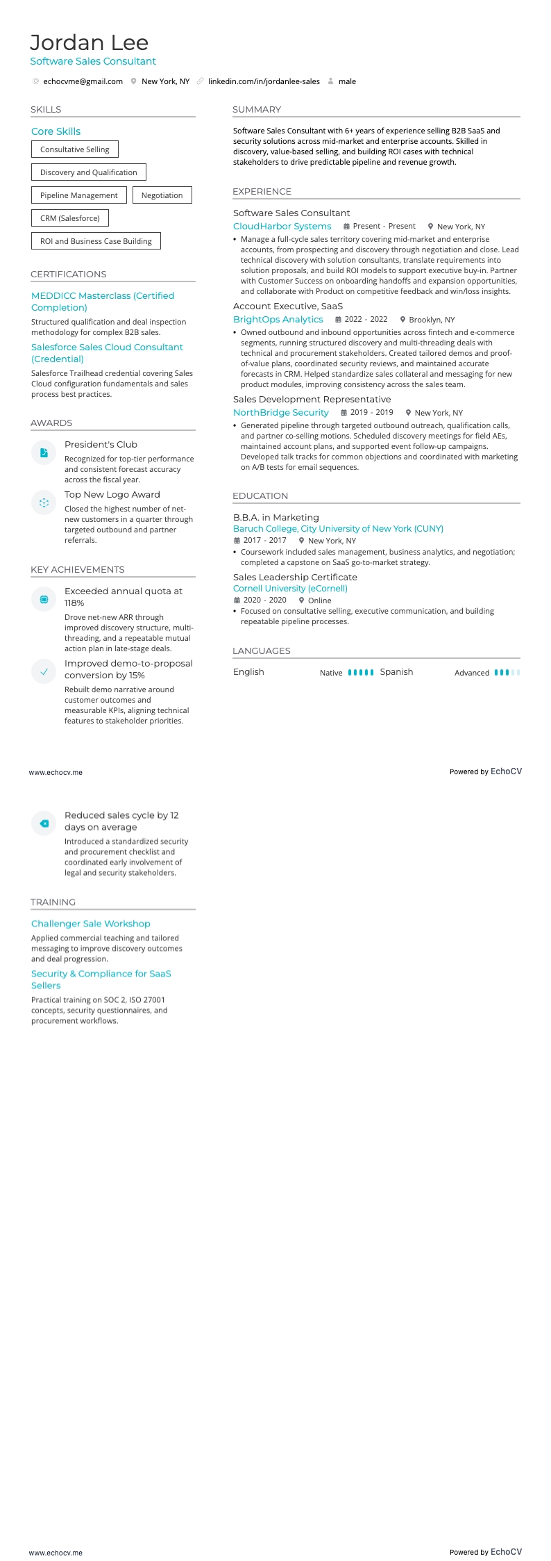 Säljkonsult inom programvara example resume