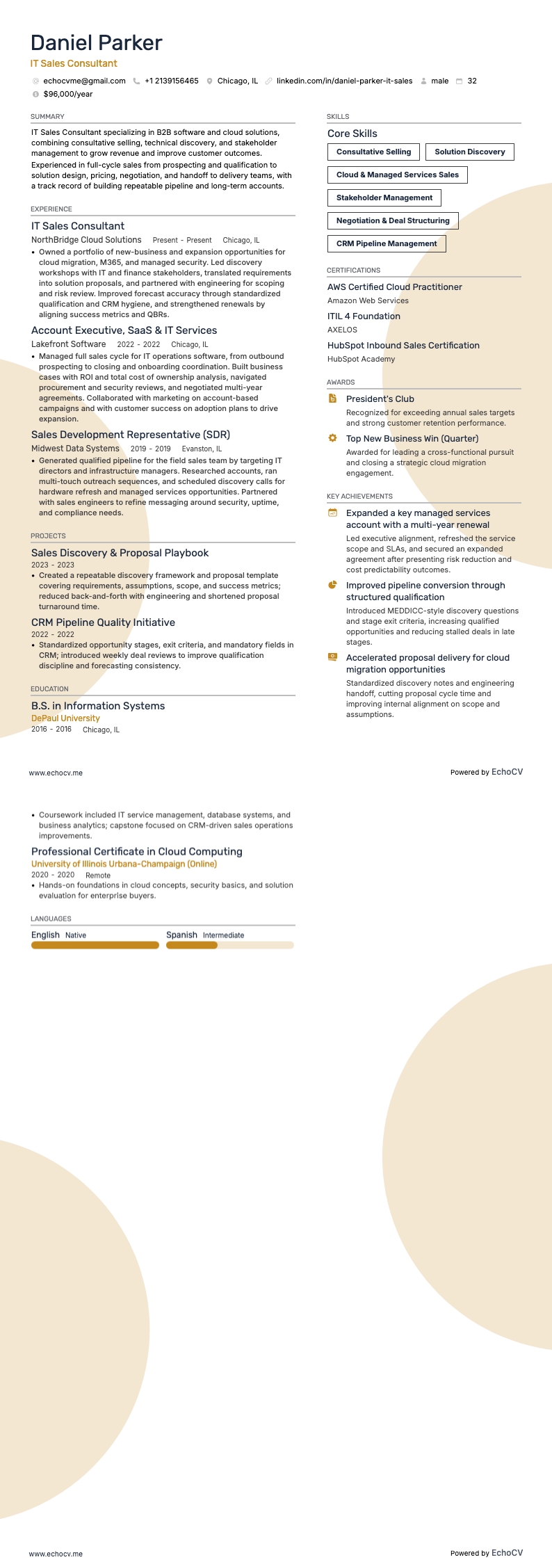 IT-säljkonsult example resume