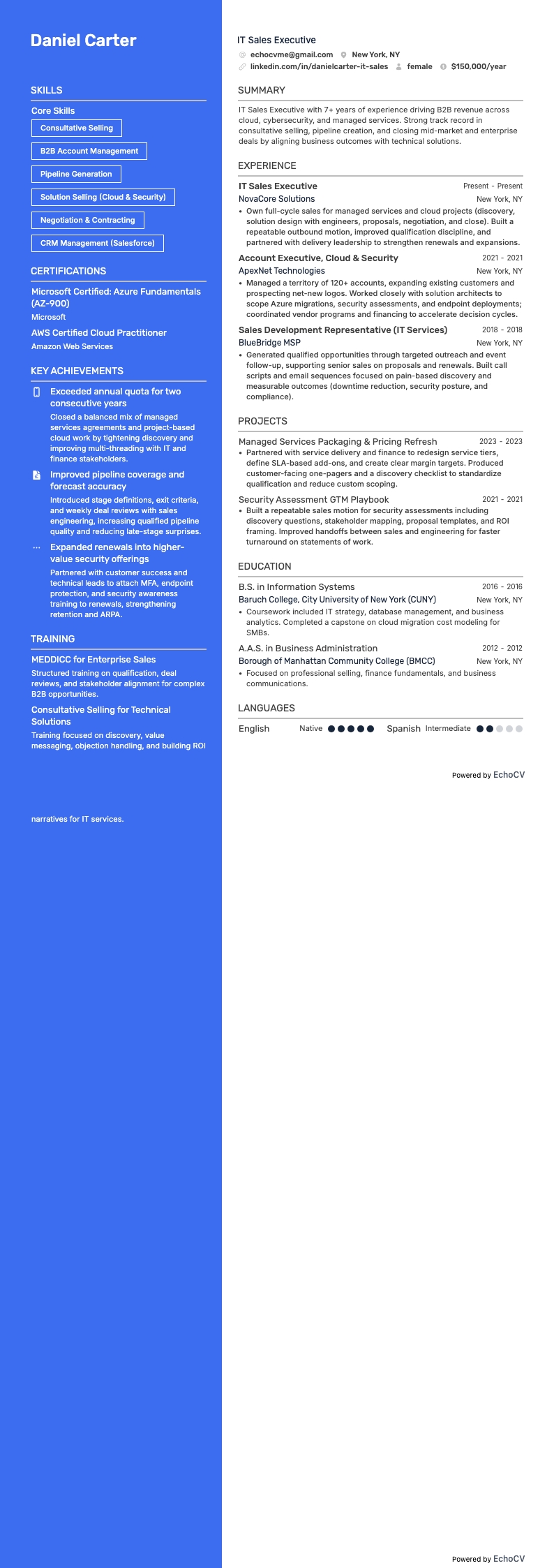 Executivo de Vendas de TI example resume