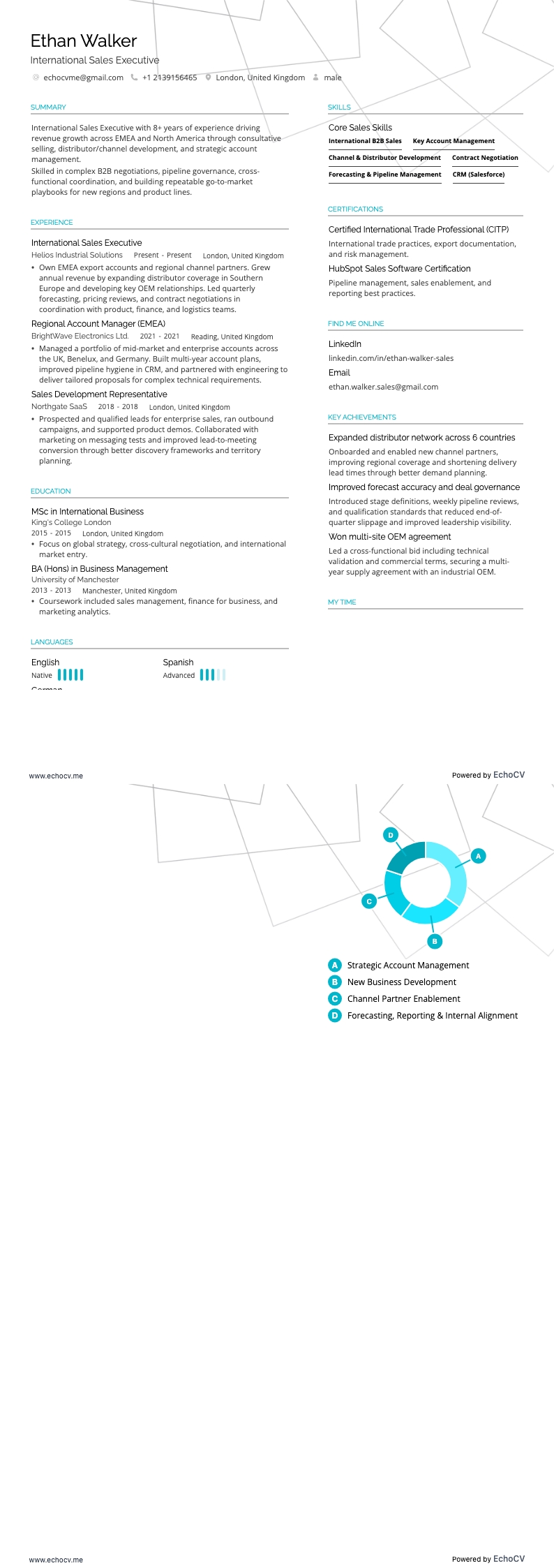Executivo de Vendas Internacionais example resume