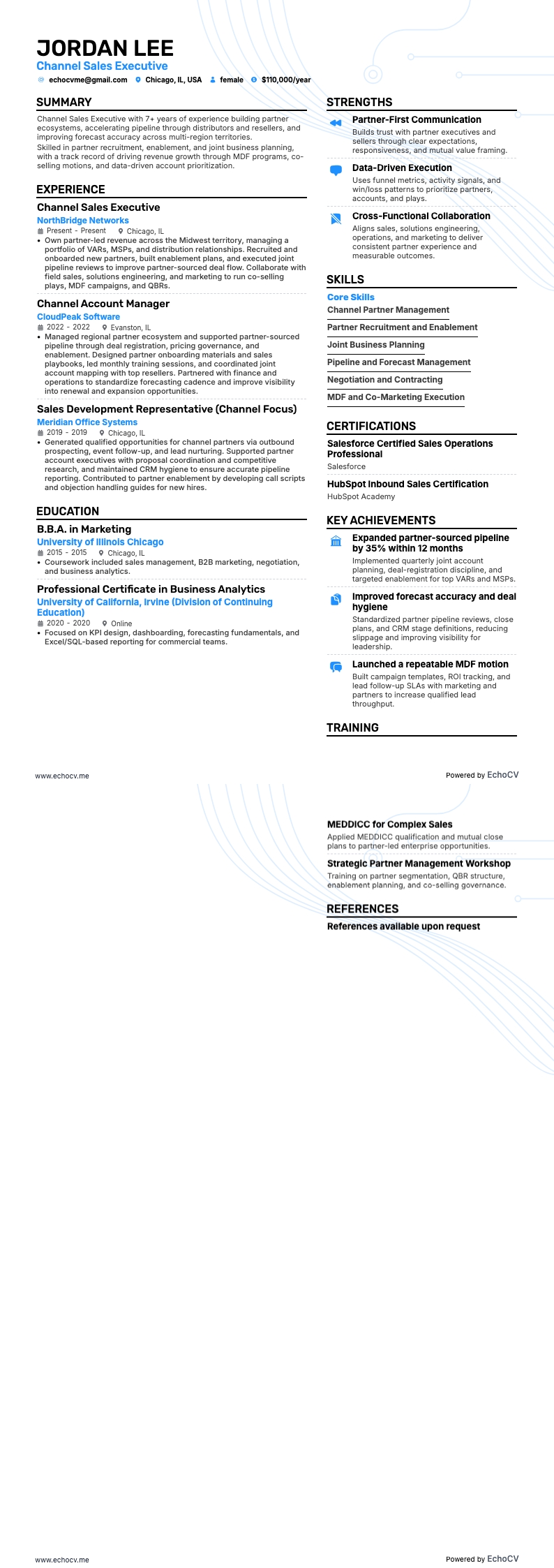 Executivo de vendas de canal example resume