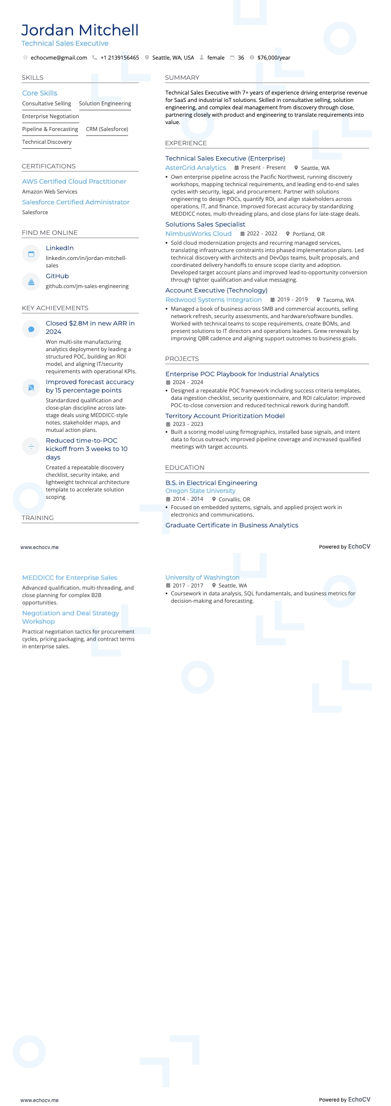 Executivo de Vendas Técnicas example resume