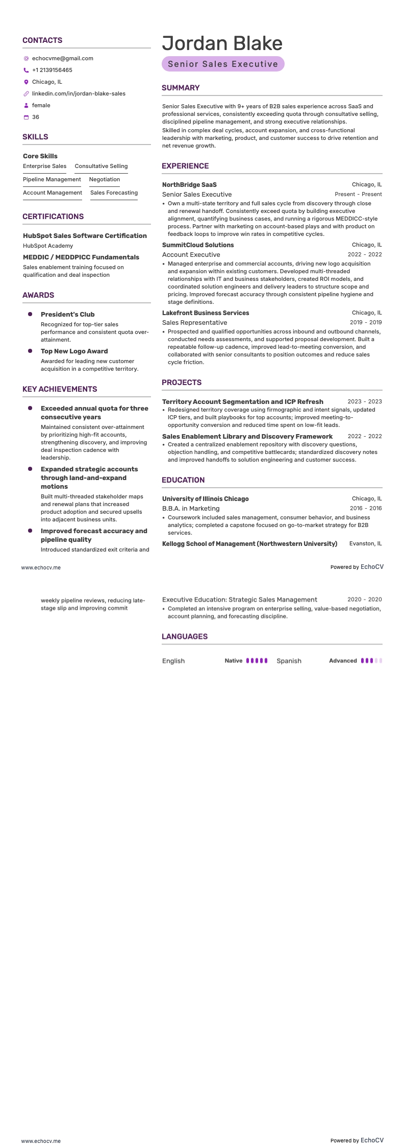 Executivo de Vendas Sênior example resume