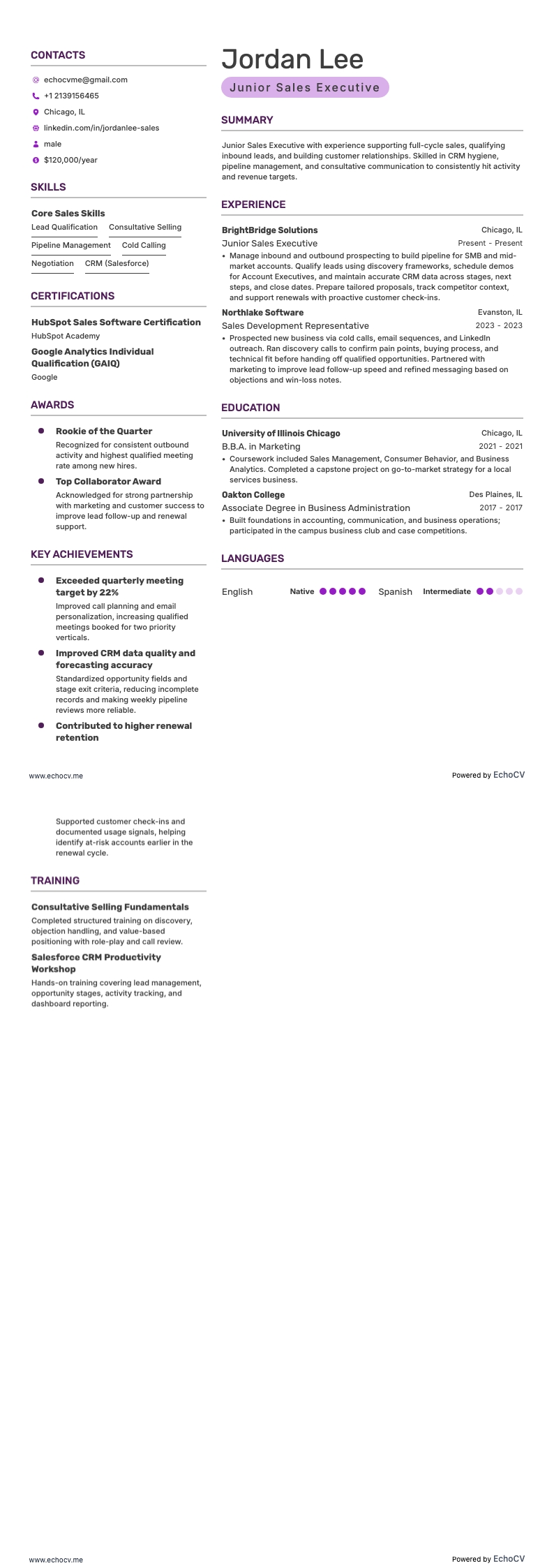 Prévia completa de Executivo de vendas júnior