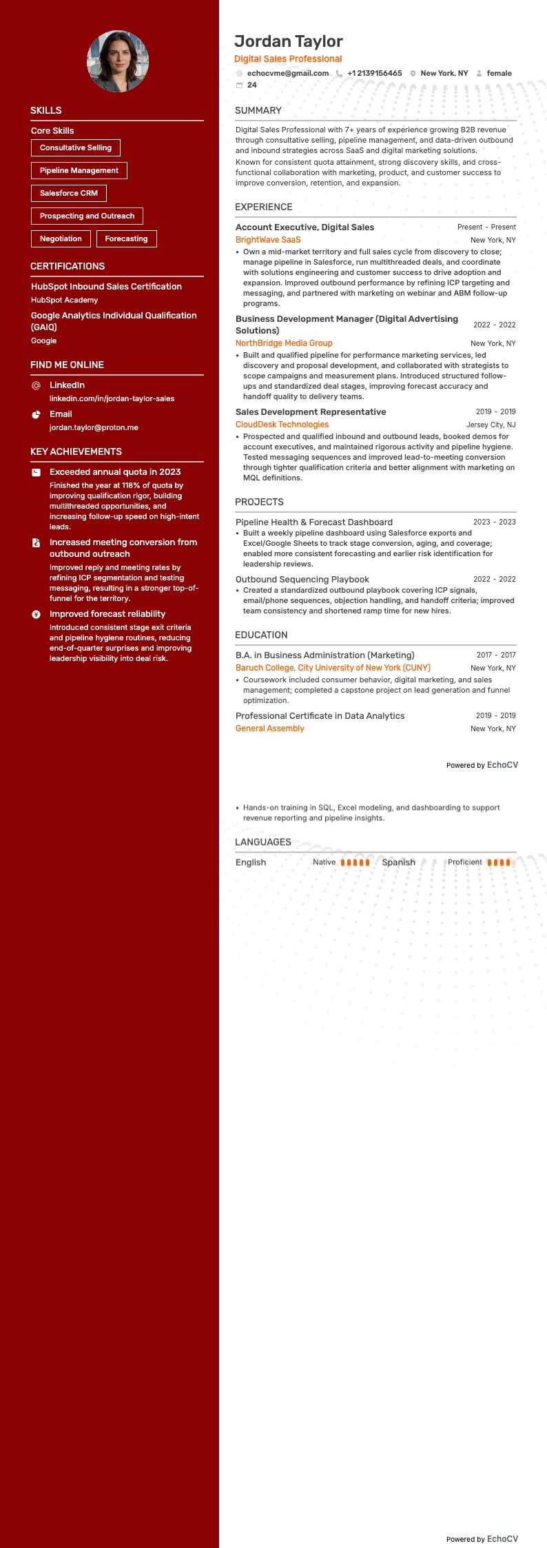 数字销售专业人士 example resume