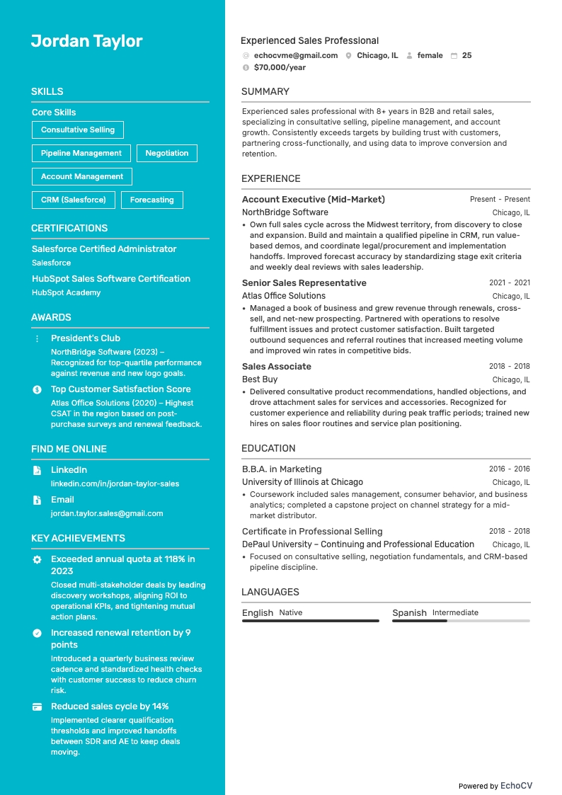 资深销售专业人士 example resume