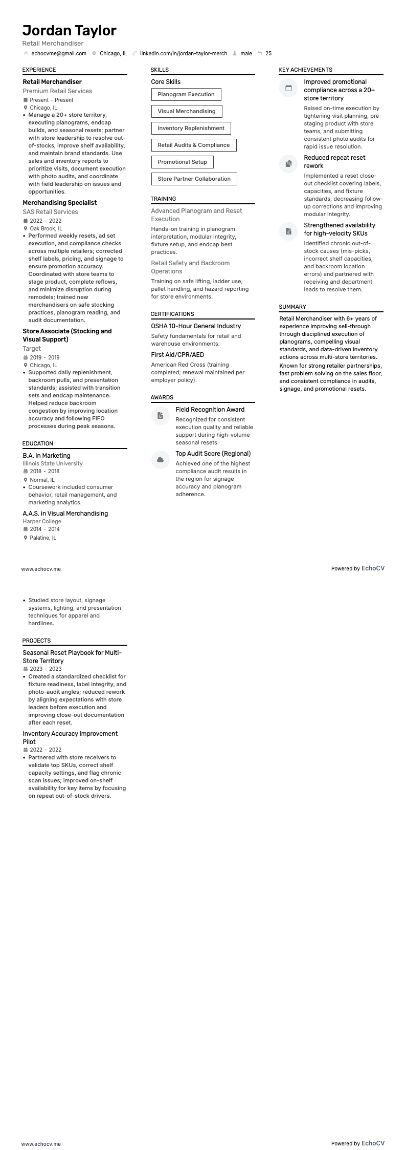 Retail Merchandiser example resume