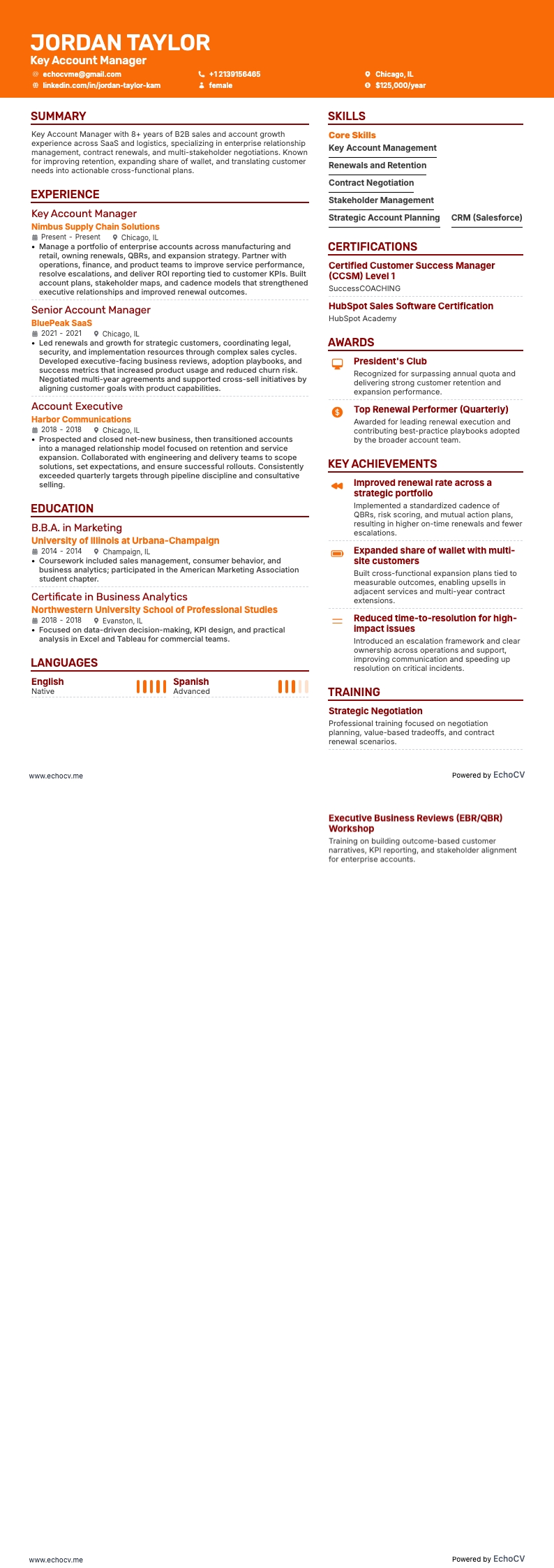 Key Account Manager example resume