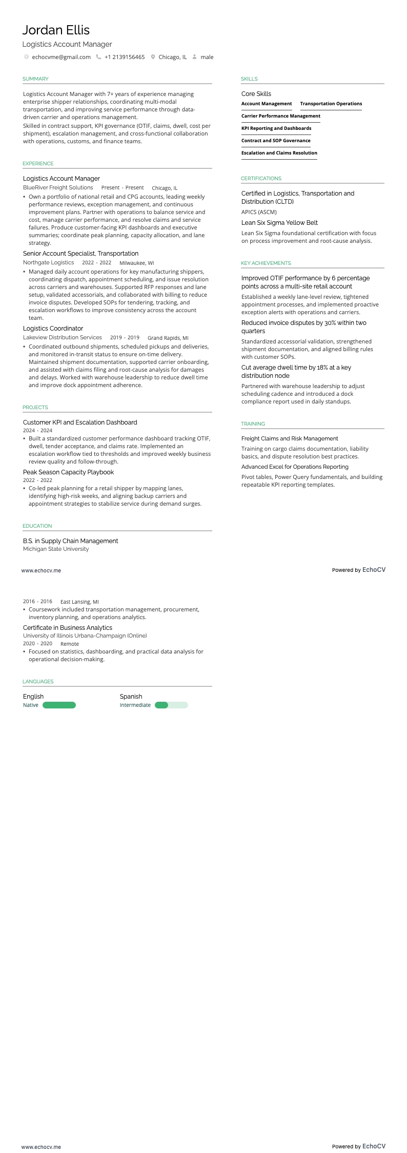 Logistics Account Manager example resume