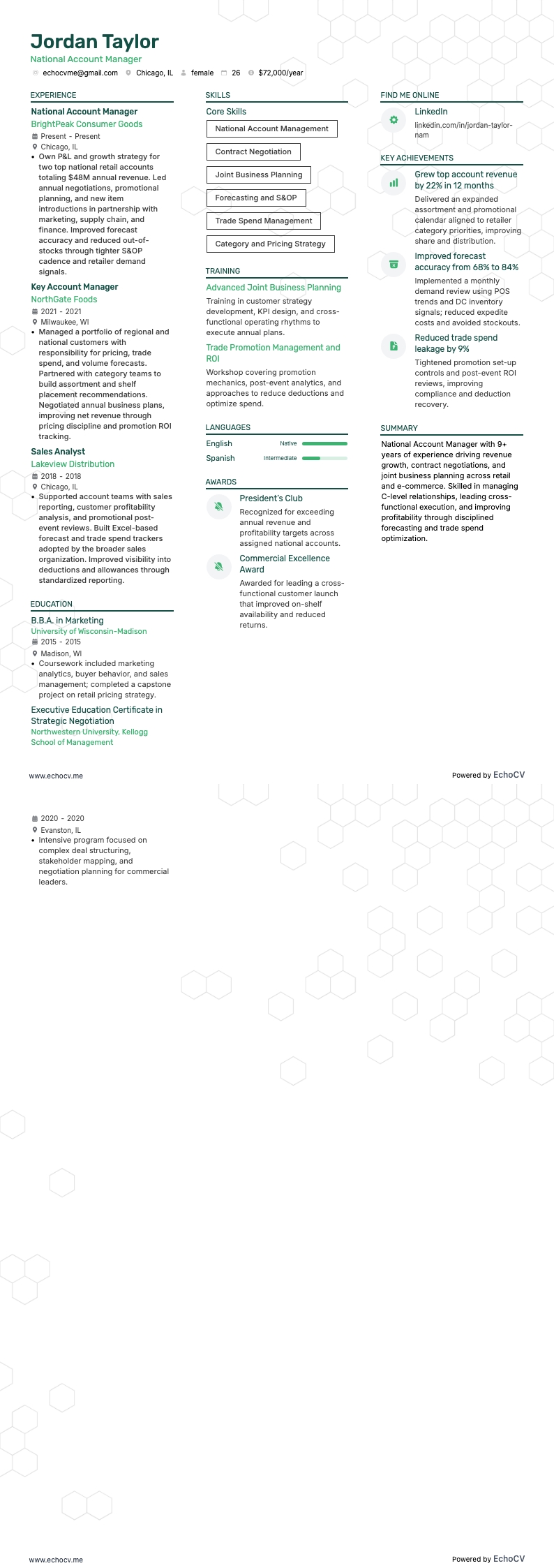 National Account Manager example resume